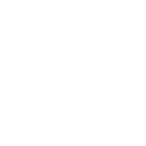 Rotary Your Exchange